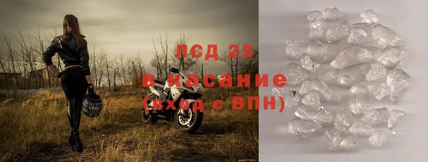 гашик Дмитриев