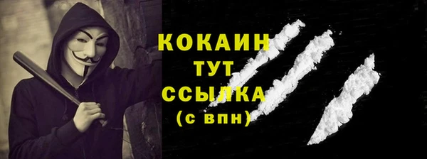 гашик Дмитриев