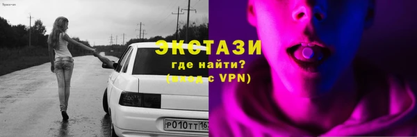 гашик Дмитриев