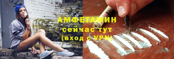 гашик Дмитриев