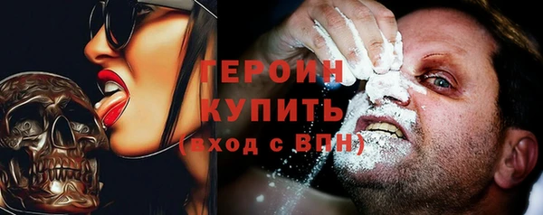 гашик Дмитриев