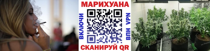 Купить где  Каменск-Шахтинский  Бошки Шишки SATIVA & INDICA 